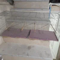 قفس|لوازم جانبی حیوانات|قدس, شهر‌قدس|دیوار