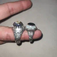انگشتر بابا قوری نر و ماده