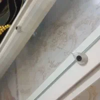 بوفه