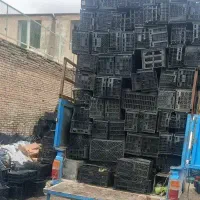 خرید سبد و کارتن فروشگاهی