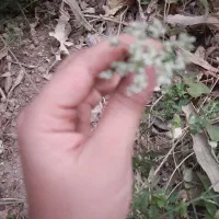 ۱۲۰۰مترزمین دیوارکشی برجاده متری یک میلیون