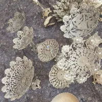 لوستر و سرویس برنجی|لوستر و چراغ آویز|شیراز, شهرک گلستان|دیوار