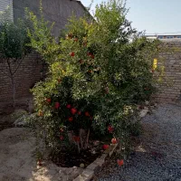 راهنمای اسکان (سرا یدار)