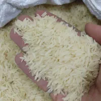 برنج هندوستان قدی و مجلسی کالابرگ فعال