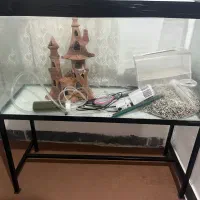 آکواریوم ماهی|ماهی|درگزین, |دیوار