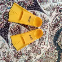 فین شنا|غواصی و ورزشهای آبی|پرند, فاز ۱|دیوار