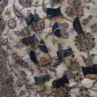 رگال و چوب لباسی