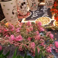 ٪20٪ بیست درصد تخفیف|قوری، کتری، قهوهساز دستی|مشهد, ویلاشهر|دیوار