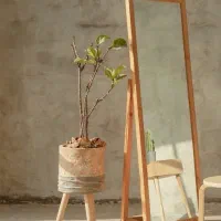 تولید آینه چوبی|آینه|رشت, سیا اسطلخ|دیوار