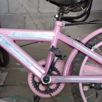 دوچرخه 20 دخترونه|دوچرخه، اسکیت، اسکوتر|اهرم, |دیوار