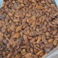 مویز ایرانی دربسته های ۱کیلویی تحویل فوری و رایگان