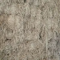 کلوش  پرس دستگاه تازه