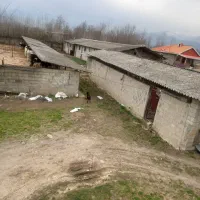 فروش ۵۰۰۰ متری صنعتی و تجاری خشکنودهان|فروش دفتر صنعتی، کشاورزی، تجاری|ماکلوان, |دیوار