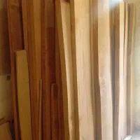 چوب راش گرجستان