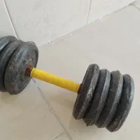 دمبل ۱۳ کیلویی