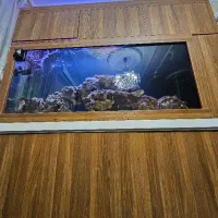 آکواریوم آب شور|ماهی|تهران, منیریه|دیوار