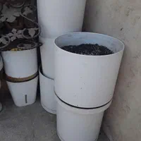 گلدان ، فایبر گلاس|گل و گیاه طبیعی|تهران, فلاح|دیوار