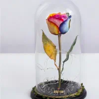 گل رز رنگین کمانی کادوی ولنتاین