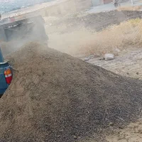 کود حیوانی