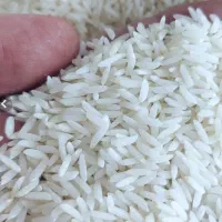 برنج هاشمی دریک اعلا