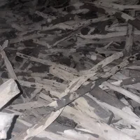 ذغال مورت قلمی درجه ۱|عمده‌فروشی|باوی, |دیوار