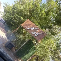 استخدام  نیرو کار