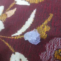 اتسیم|جواهرات|تبریز, |دیوار