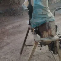 چقندر خوردن کن