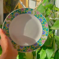ظرف چینی و شیشه ای و لوستر جنس خوب|ظروف سرو و پذیرایی|شاهین‌شهر, مخابرات (شهید بهشتی)|دیوار