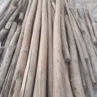 تیر‌چوبی‌سالم‌4متری