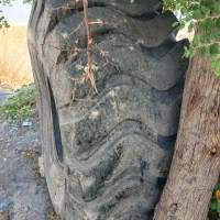 لاستیک لودر۲۶،۵،۲۵