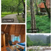 سفر امن و راحت  ویژه بانوان عزیز مشهدی|تور و چارتر|مشهد, فارغ التحصیلان|دیوار