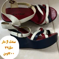 کفش و کتونی|کیف، کفش، کمربند|قم, باجک دو|دیوار