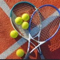 دنبال همبازی برای تنیس خاکی