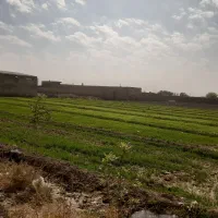 زمین کارگاهی چهاردیواری