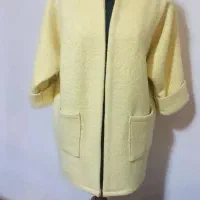 پالتو