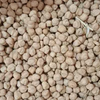 نخود|خوردنی و آشامیدنی|بزینه رود, |دیوار