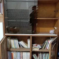 کتابخانه چوبی|کتابخانه، شلف، قفسههای دیواری|اردبیل, |دیوار