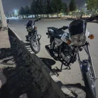 دو عدد طرح باکسر