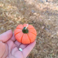 شمع های یلدایی و پینترستی|صنایع دستی و سایر لوازم تزئینی|بجنورد, |دیوار