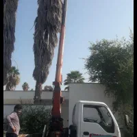 جرثقیل و بالابر نفر|خدمات حمل و نقل|شوش, |دیوار