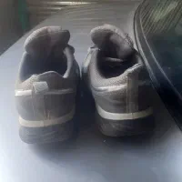 کفش|کیف، کفش، کمربند|دیواندره, |دیوار