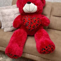 شاسخین|اسباب‌‌بازی|سنندج, |دیوار