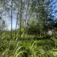 زمین ۴۰۰ متری سه نبش کوی شهید چمران(کسبخ)|فروش زمین و ملک کلنگی|رشت, کوی قدس|دیوار