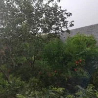خانه باغ و دامداری فروشی