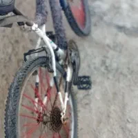 دوچرخه ۲۴|دوچرخه، اسکیت، اسکوتر|قصابه, |دیوار