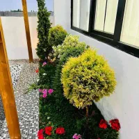 خدمات باغبانی گلکاری باغچه کاری تعویض خاک گلدون|خدمات باغبانی و درختکاری|کرج, گلشهر|دیوار