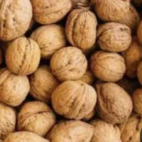 گردو ناب و خوب