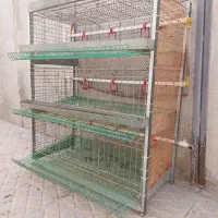 قفس بلدرچین تخمگذار