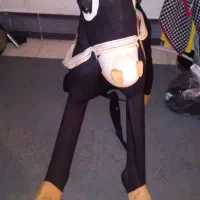 سرگرمی مناسب راکر الاغ